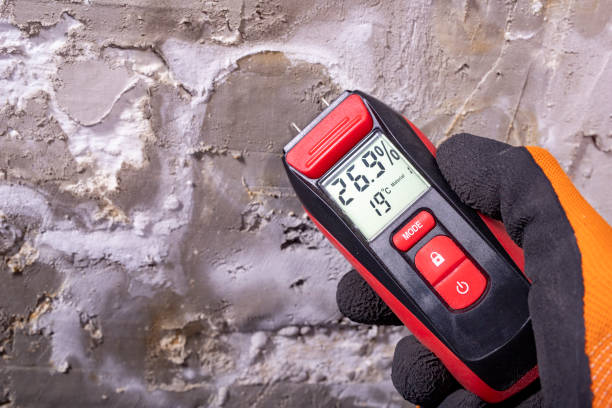 Best Mold Remediation for Schools in St Matthews, SC