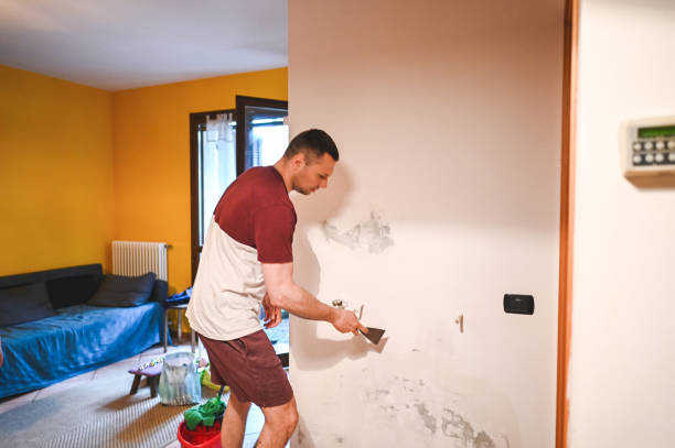 Best Commercial Mold Remediation in St Matthews, SC